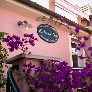 L'Antica Pieve Bed&Breakfast